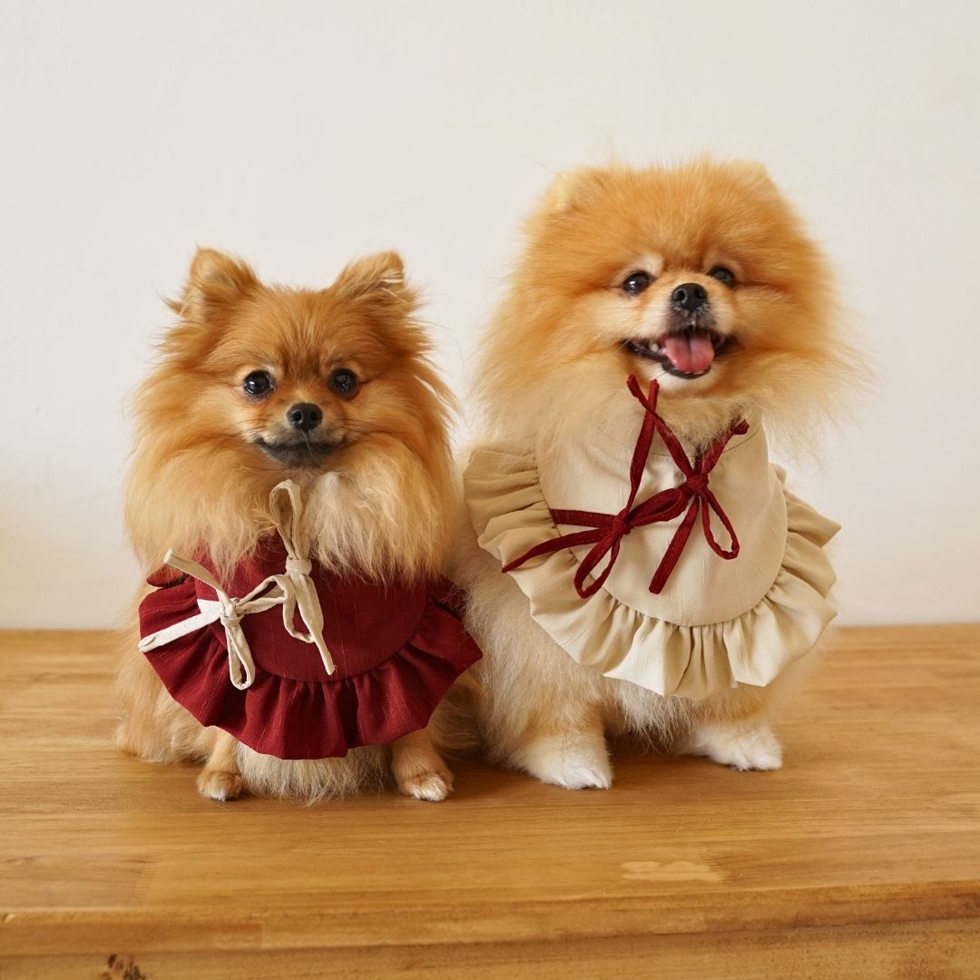 Chinese New Year Collection