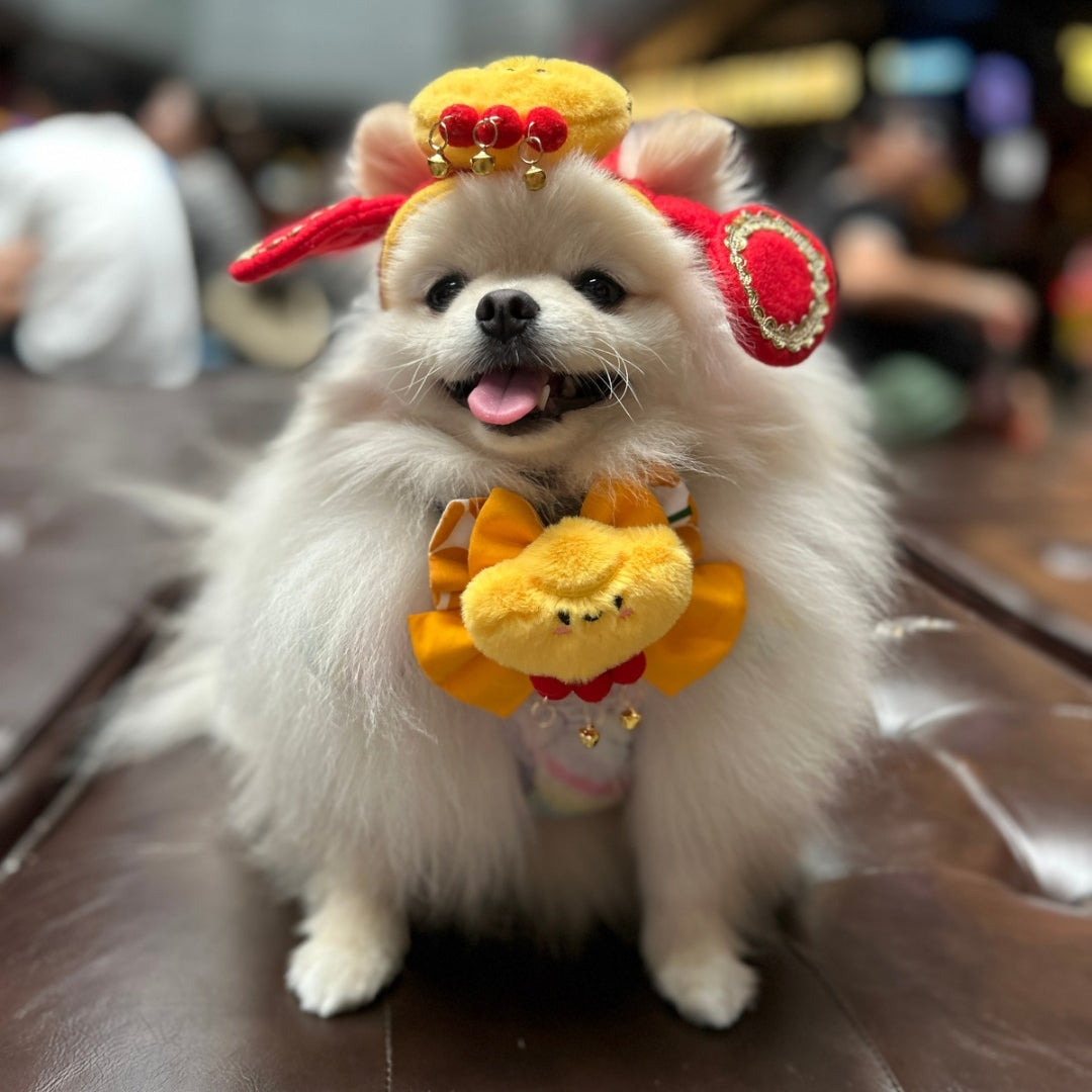 Classic Pawsperity Bow - Chinese New Year Collar Accessory for Pets