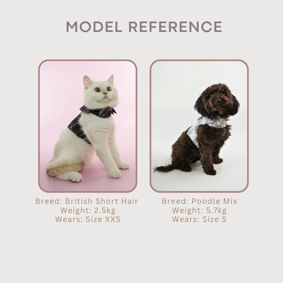 Peter Harness - Suit & Tie Pet Harness