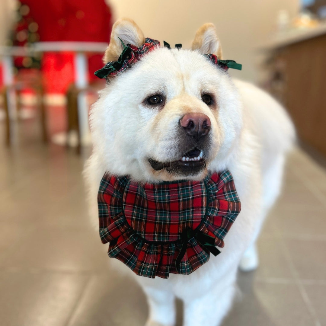 Reina Ruffled Bib – Christmas Plaid Ruffled Neck Bib for Pets