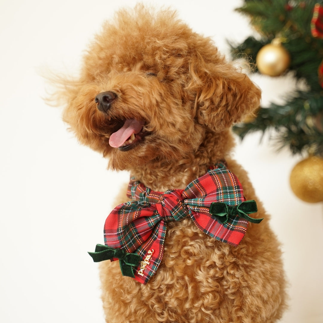 Stella Scrunchie Bow - Christmas Elastic Scrunchie Neck Bow for Pets