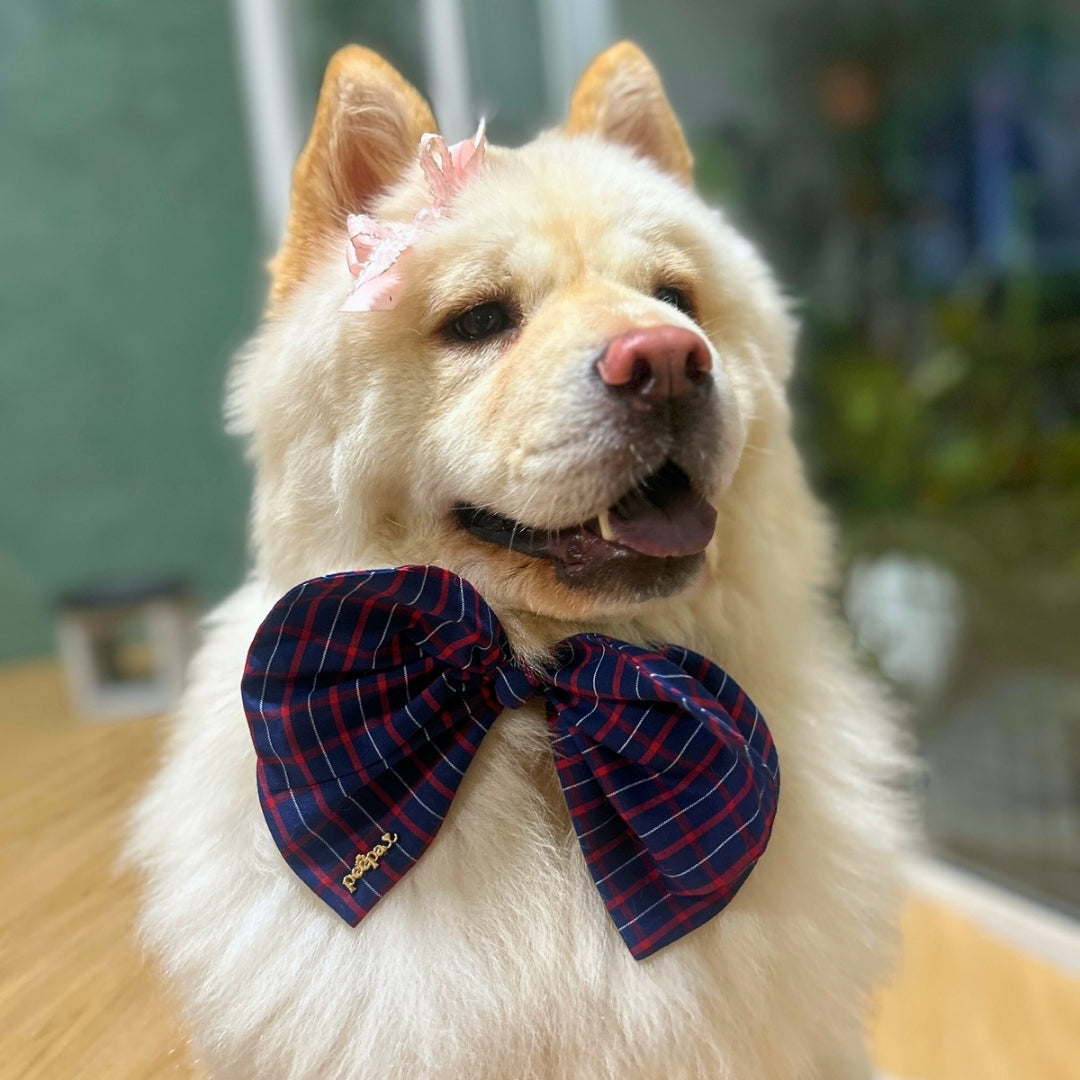 Stella Scrunchie Bow - Christmas Elastic Scrunchie Neck Bow for Pets